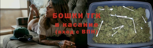 ешки Аркадак