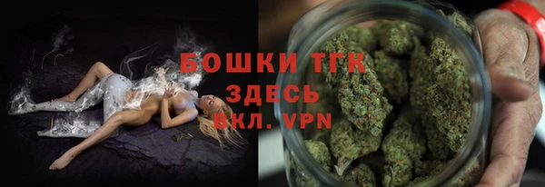ешки Аркадак