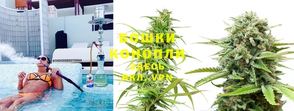 ешки Аркадак