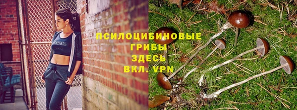 ALPHA-PVP Армянск