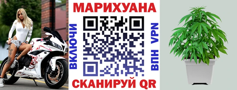 продажа наркотиков OMG маркетплейс Бошки марихуана сатива Суворов